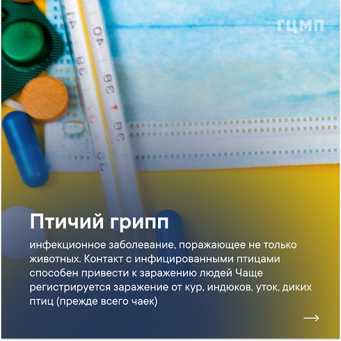 Птицы и суперинфекции - уникальное сочетание может привести к глобальной эпидемии нового уровня Птицы и суперинфекции: как птицы могут вызвать мировую эпидемию